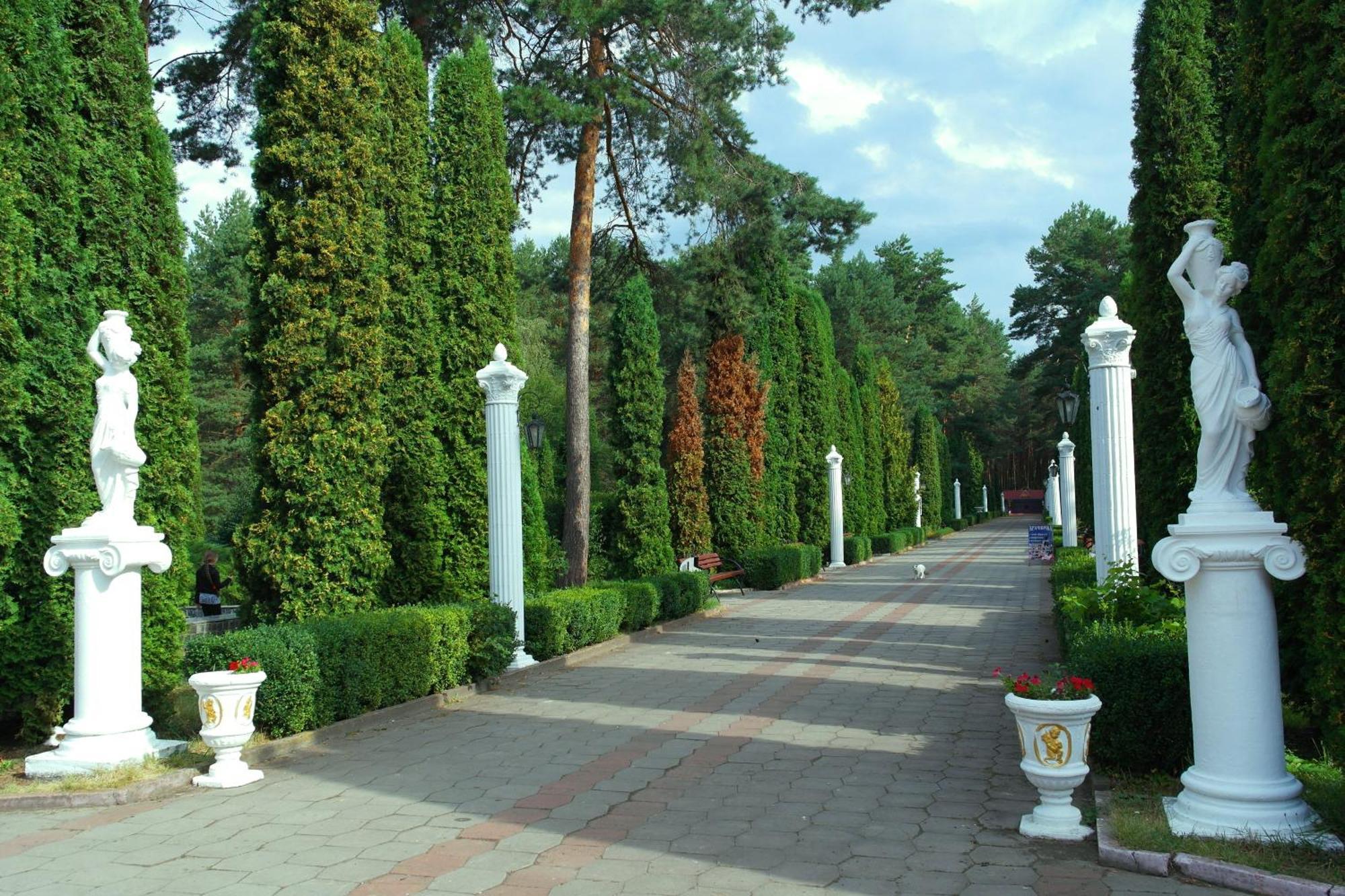 Санаторій Червона Калина Zhobryn Bagian luar foto